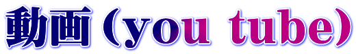 動画（you tube）