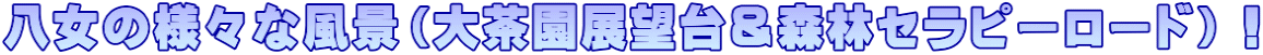 八女の様々な風景（大茶園展望台＆森林セラピーロード）！