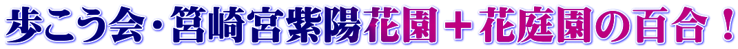 歩こう会・筥崎宮紫陽花園＋花庭園の百合！