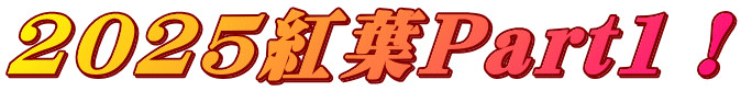 2025紅葉Part1!