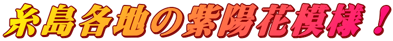 糸島各地の紫陽花模様!